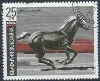 [Horses, タイプ ELF]