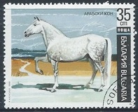 [Horses, タイプ ELG]