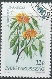 [Flowers of America, typ EVX]