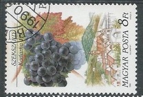 [Wine and Wine Regions, type EVA]