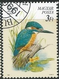 [Protected Birds, type ETS]