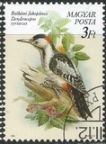 [Protected Birds, type ETQ]
