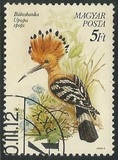 [Protected Birds, type ETT]