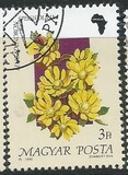 [Flowers, type ETY]