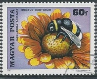 [Insects Polinating Flowers, type DUD]