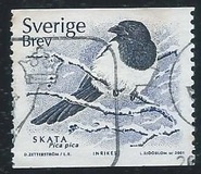 [Birds, type BMC]