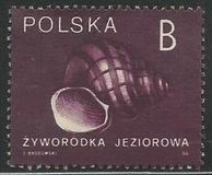 [Stamps for Domestic Mail: Shells of Snails, type DDD]