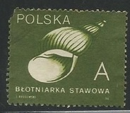 [Stamps for Domestic Mail: Shells of Snails, Tip DDE]