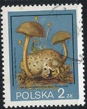 [Protected Poisonous Mushrooms, típus CHW]
