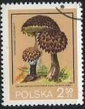 [Protected Poisonous Mushrooms, típus CHX]
