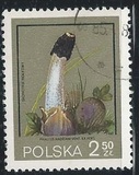 [Protected Poisonous Mushrooms, típus CHY]