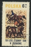 [The 150th Anniversary of Horse Riding in Sieraków, tegund CGY]