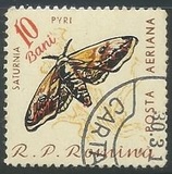 [Butterflies & Moths, тып BTG]