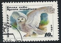 [Owls, タイプ HKA]