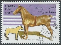 [Horses, type AMU]