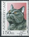 [Cats, type GO]