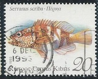 [Fish, type XR]