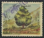 [Tree Week, Tüüp DH1]