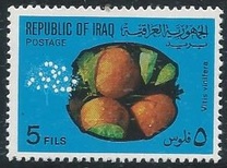 [Fruits, type IL]