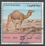 [Dromedaries, 类型 AAX]