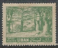 [Cedar of Lebanon, Zahle, type HV]