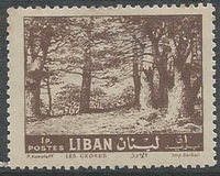 [Cedar of Lebanon, Zahle, type HV1]