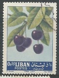 [Fruits, տեսակ JE]