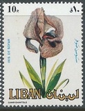 [Flowers, type YO]