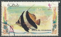 [Fish, type VO]