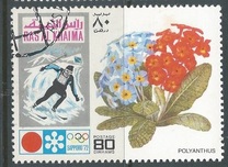 [Winter Olympic Games - Sapporo, Japan, type US]