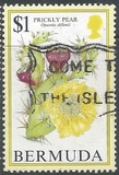 [Flowering Fruits, type TY]
