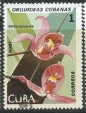 [Orchids, tip DAS]