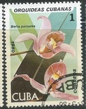 [Orchids, tip DAS]