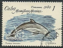 [Marine Mammals, type DAY]