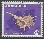 [Local Motifs, type GC]