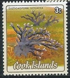 [Cnidarias, type SVB]