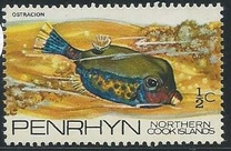 [Fish of the Pacific, type AC]