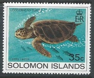 [Turtles, Tip MT]