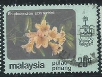 [Flowers, type AY]