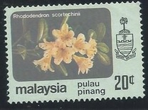 [Flowers, type AY]