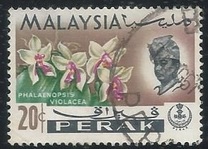 [Orchids, tegund AP]