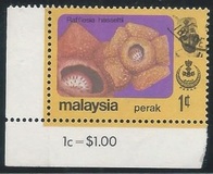 [Flowers, प्रकार AX]