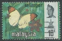 [Butterflies, type BA]