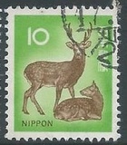 [Definitive Issue, タイプ AXZ]