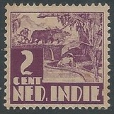 [Rice Field & Queen Wilhelmina - Watermarked, Tip AI10]