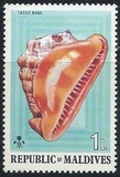 [Sea Shells and Cowries, tegund TK]