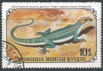 [Reptiles, type YQ]