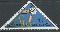 [Mongolian Flowers, වර්ගය ACP]