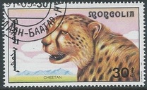 [African Wildlife, Typ CCM]