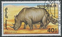 [African Wildlife, tip CCN]